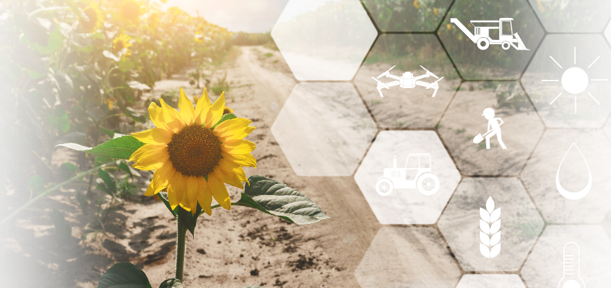 5th REECAP meeting na WNE UW [26-28.09.2023]
