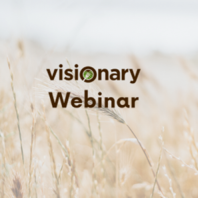 Obraz 3 webinary w ramach projektu VISIONARY – zapraszam…